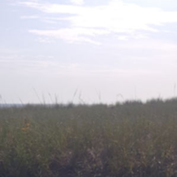 Meet your Posher, Karley - Picture 1 of 1